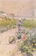 Carl Larsson In the Kitchen Garden Spain oil painting artist